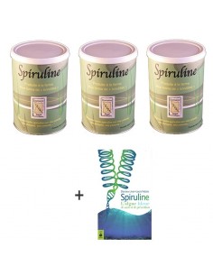 Lot de 3 boites brindilles...