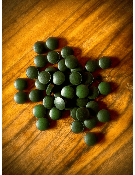 spiruline comprimés bio riche en fer