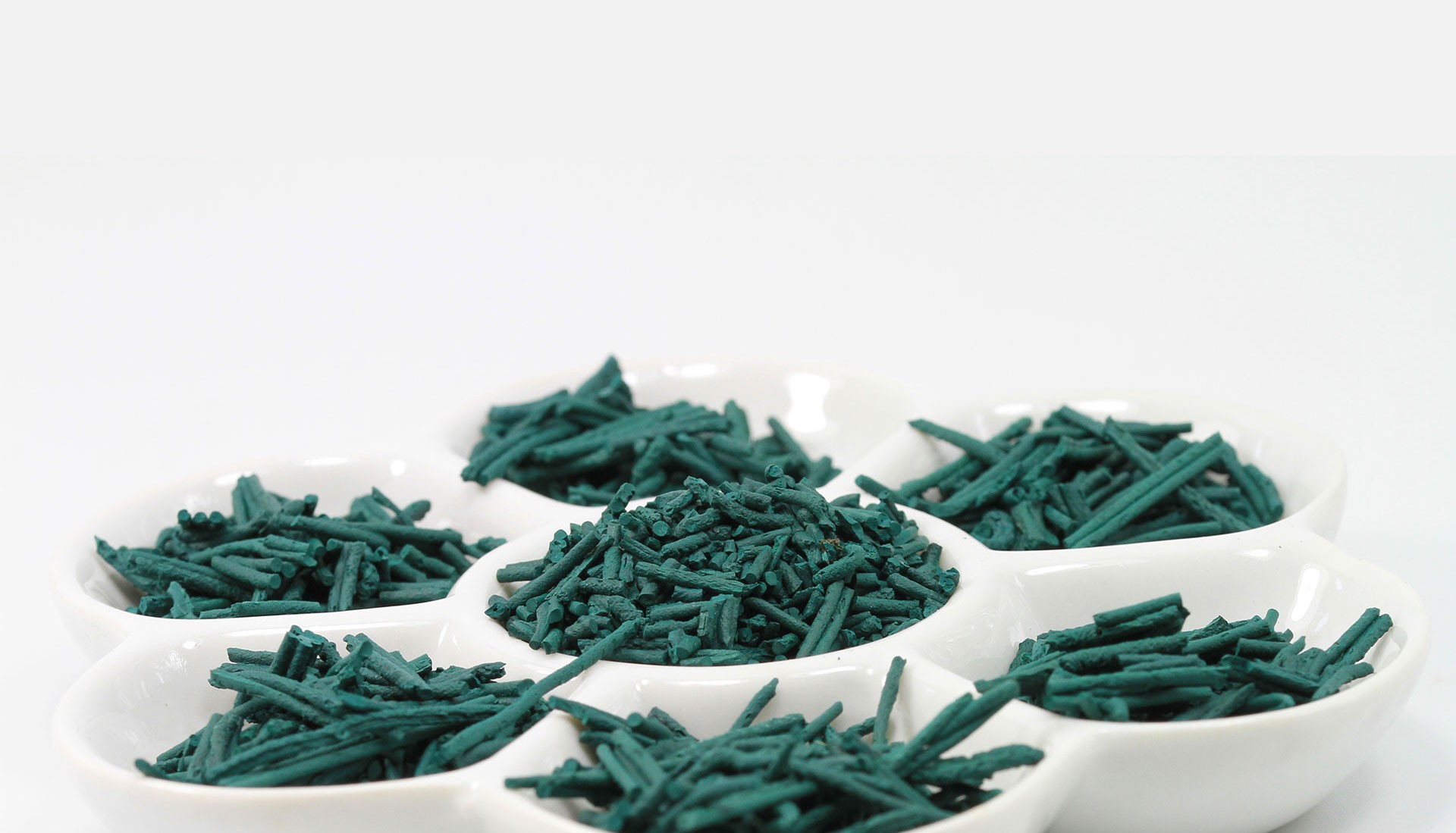 brindilles spiruline