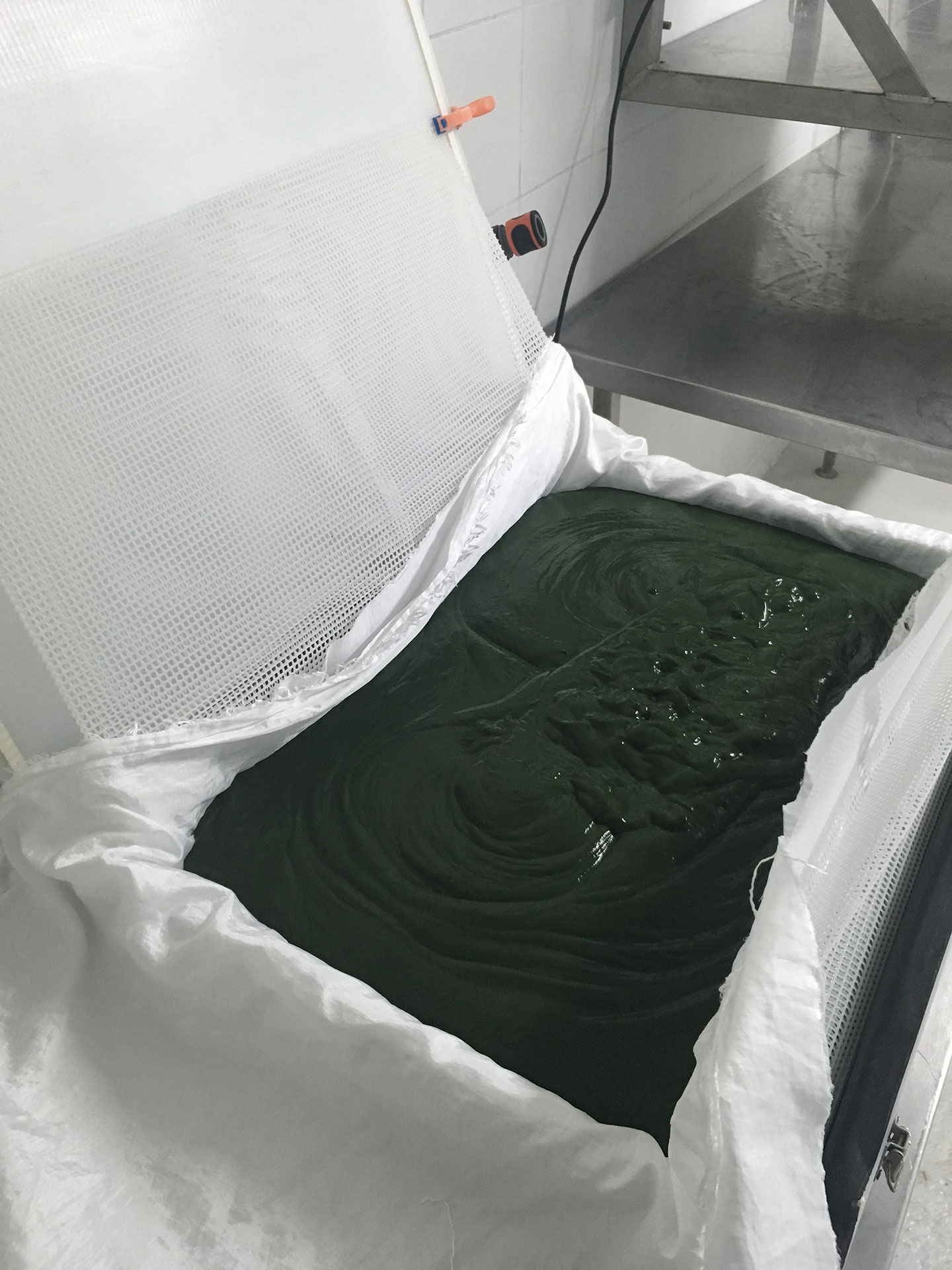 spiruline gard