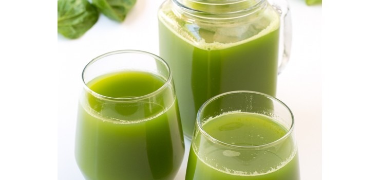 Les Journées de la spiruline 2012