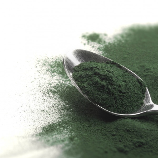 La spiruline, algue vertueuse ou vénéneuse ?