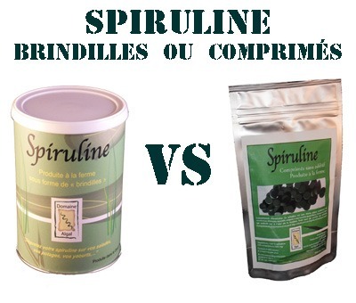 Brindilles ou comprimés de spiruline : que choisir ?