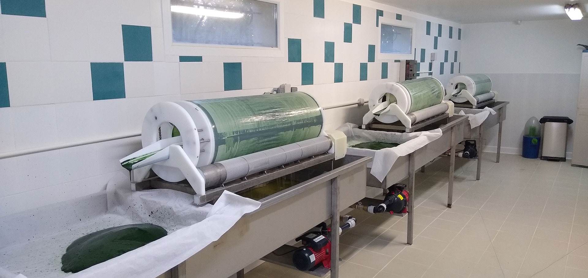 La Spiruline du Domaine Algal fait peau neuve !